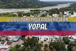 Cómo Liquidar el Impuesto Vehicular en Yopal en 2024
