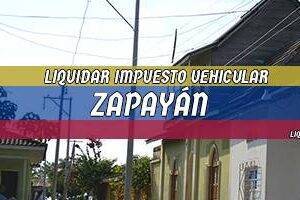 Cómo Liquidar el Impuesto Vehicular en Zapayán en 2024