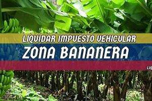 Cómo Liquidar el Impuesto Vehicular en Zona Bananera en 2024