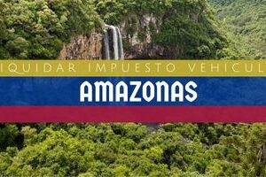 Liquidar Impuesto Vehicular en Amazonas en 2024